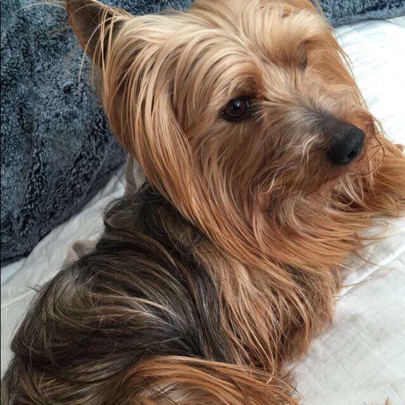 Meet your Posher, Cathy - Picture 4 of 5